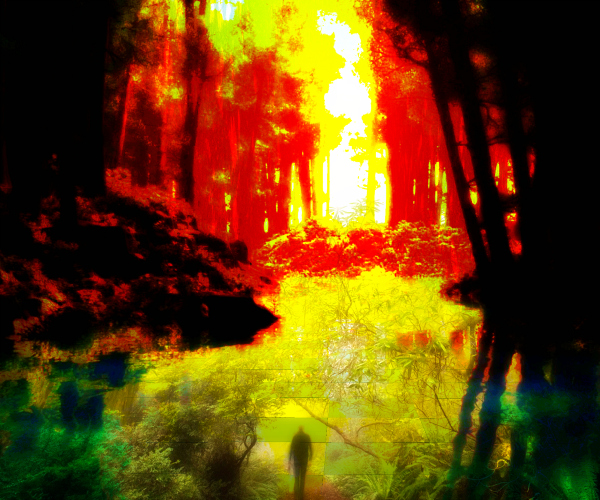 Fine Digital Landscape Art Gallery