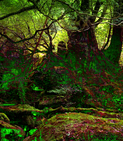 Digital Landscape Artist