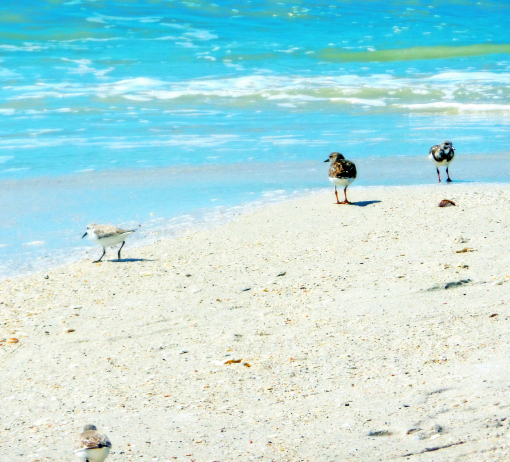 Art In Parks Project Portfolio