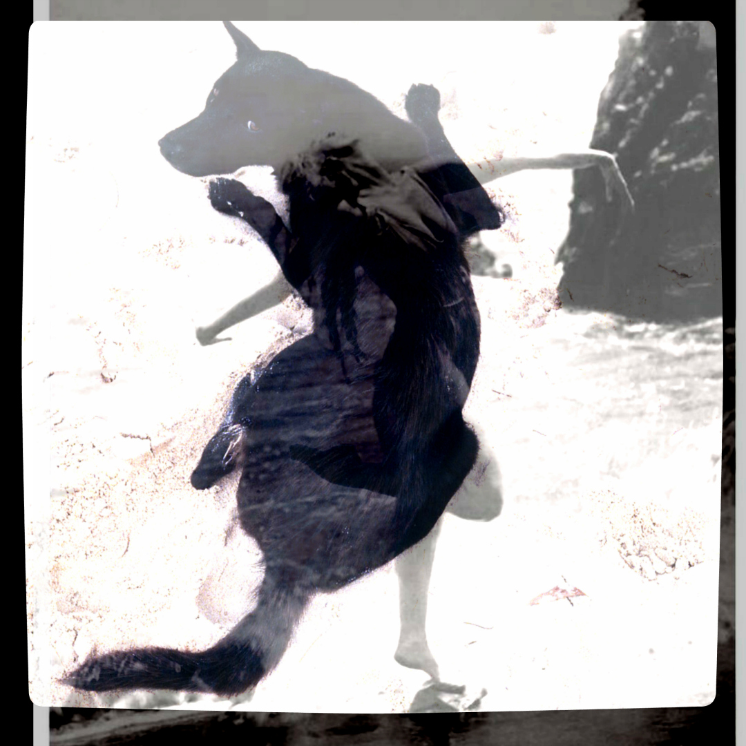 Digital Art Portraits Black Shock