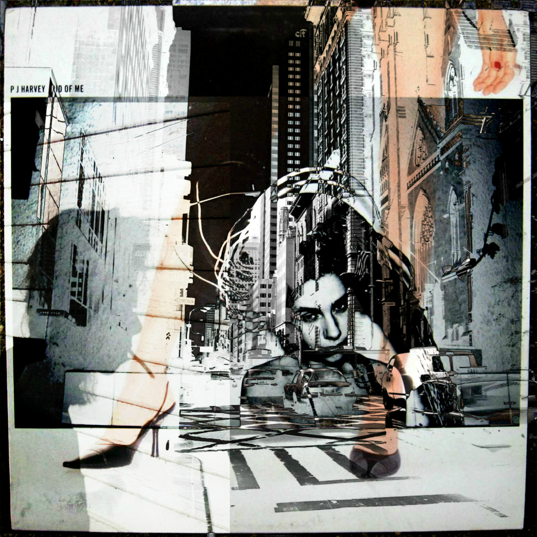 Digital Art Portraits PJ Harvey