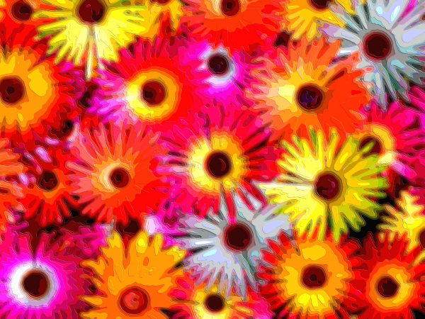 Flower Art Sale Daisies