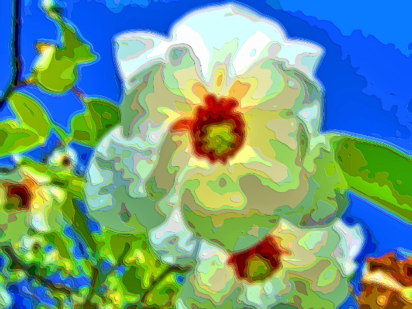 Flower Art Sale Magnolia Wilsonii