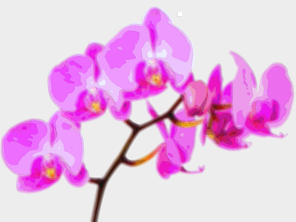 Flower Art Sale Purple Orchid 