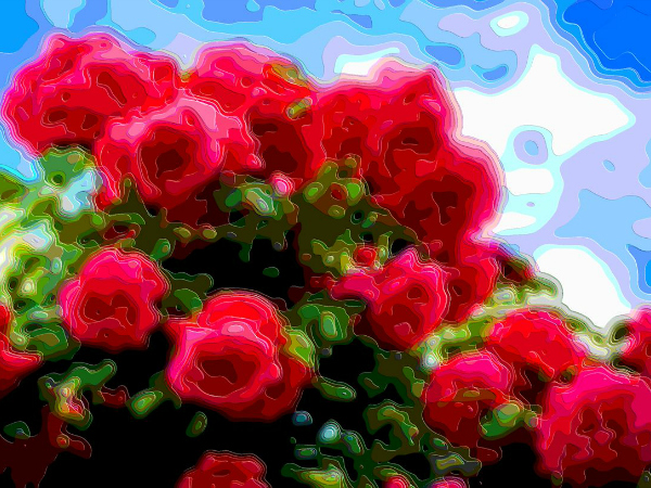 Flower Art Sale Red Roses