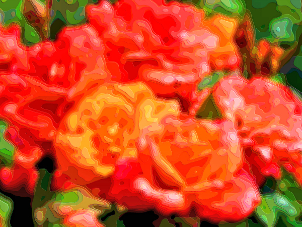 Flower Art Sale Roses