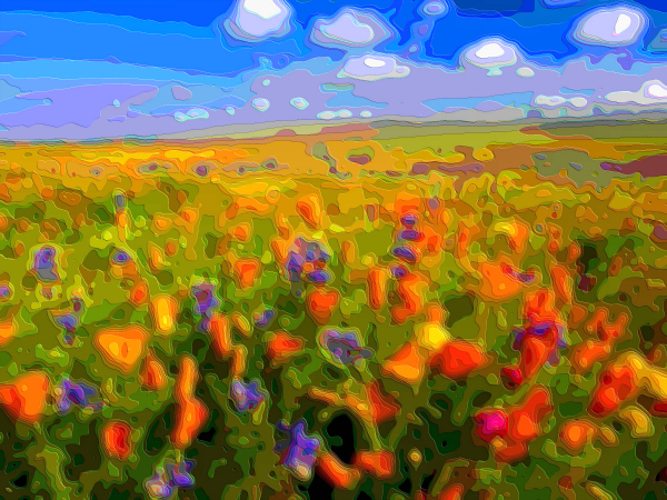 Flower Art Sale Wild Flowers