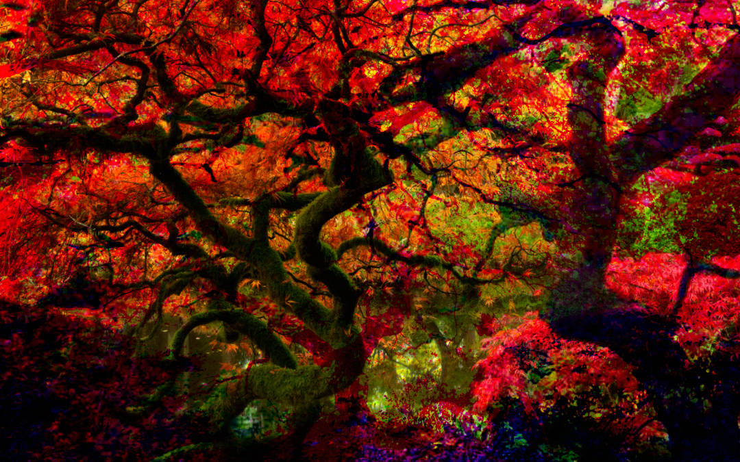 Abstract Landscape Art