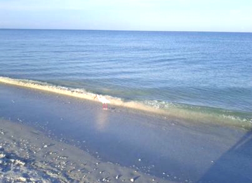 Delnor Wiggins State Park