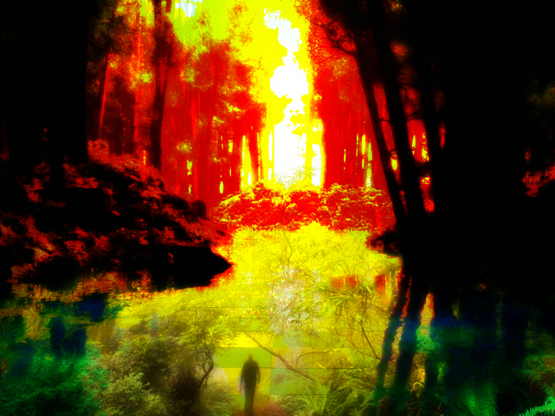 Florida Sunset Landscape Art