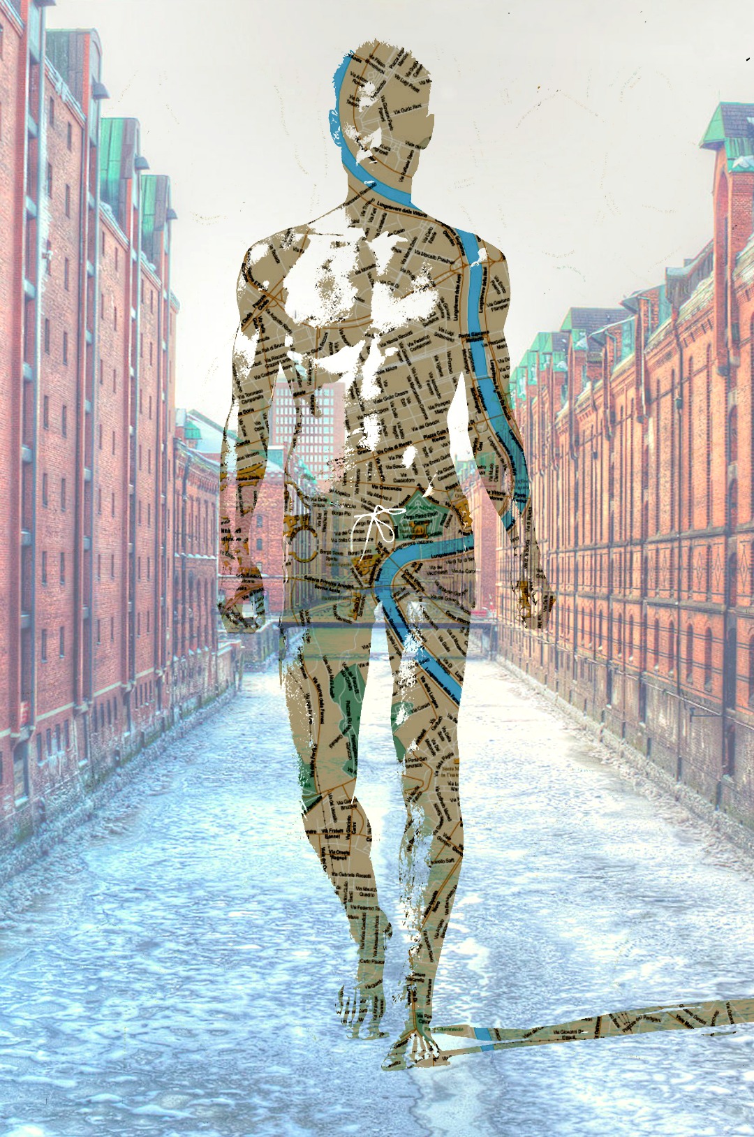 Portrait High Dive 205