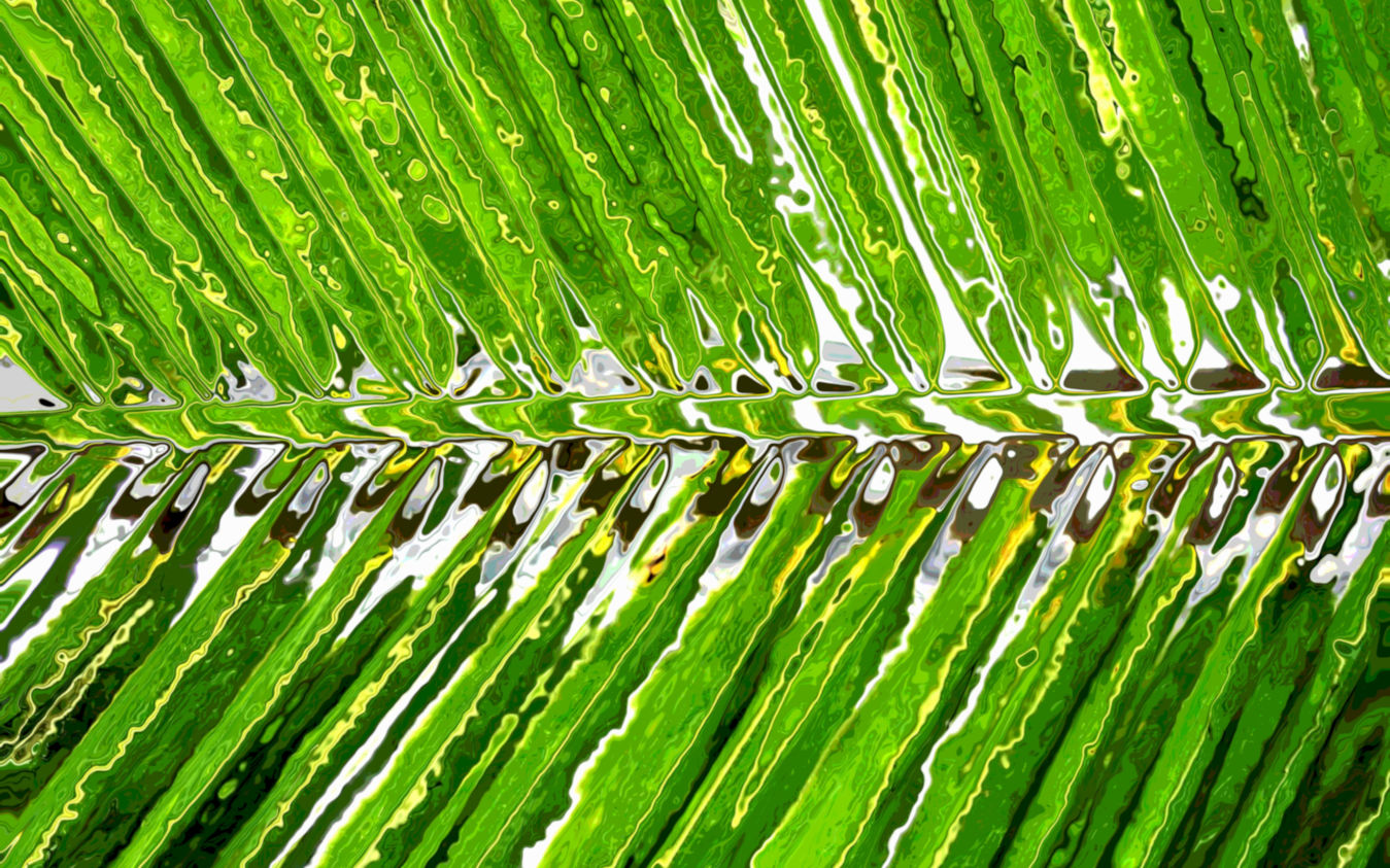 Digital Abstract Art Digital Abstract Art